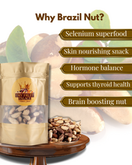 Brazil Nut